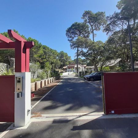 Appartement De Standing Avec Jardin Privatif, Proche Du Lac Et Du Centre, Parking Inclus - Fr-1-239-583 Soorts-Hossegor Bagian luar foto